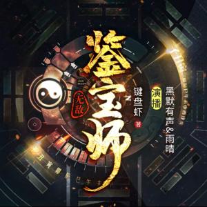 无敌鉴宝师有声小说