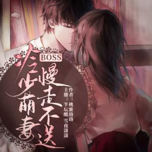 冷少萌妻：BOSS慢走不送有声小说