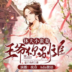 休夫小蛮妻：王爷你别追有声小说