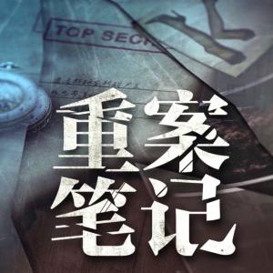 重案笔记有声小说