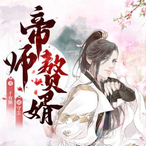 帝师赘婿有声小说