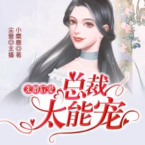 先婚后爱，总裁太能宠有声小说