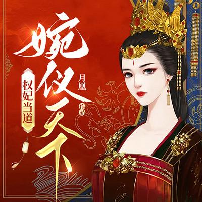 权妃当道：婉仪天下有声小说