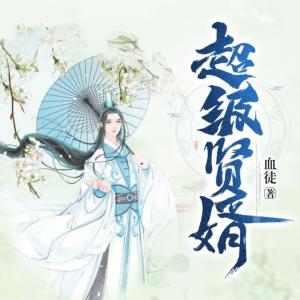 超级贤婿有声小说