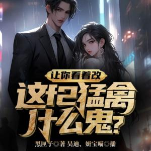 让你看着改，这f2猛禽什么鬼？有声小说